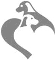 Canine Health Foundation